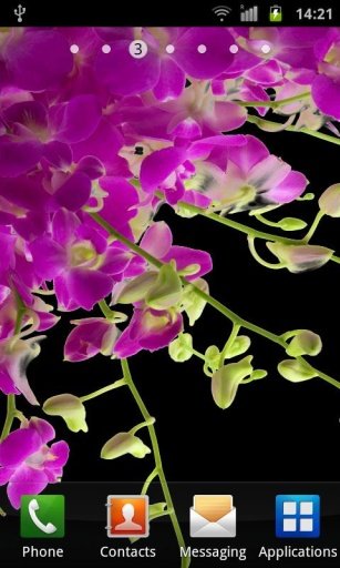 Orchids In Night VII截图6