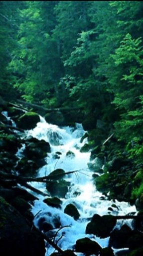 Waterfall Live Wallpaper 3D截图6