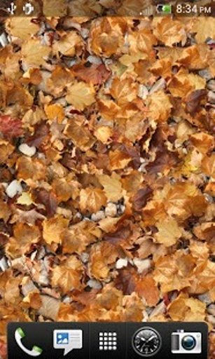 Fallen Leaves LITE截图7