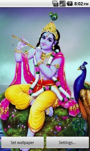 Krishna Darshan Live Wallpaper截图5