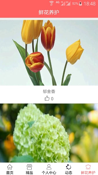 弗洛花园截图4