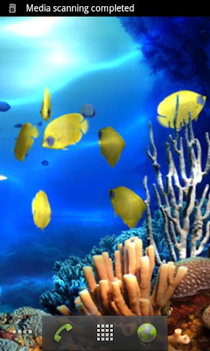 Tropical Coral Reef Watery LWP截图1