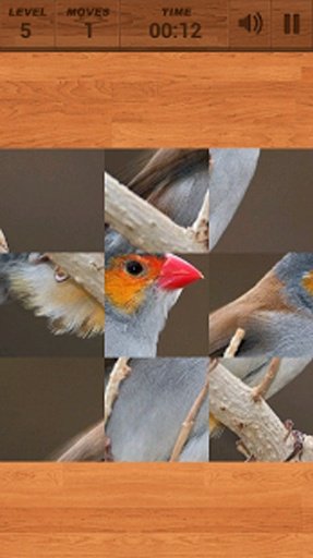 PuzzleBox : Birds截图10