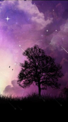 Fantasy Meteor Shower LWP free截图5