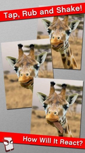 Angry Giraffe Free!截图4