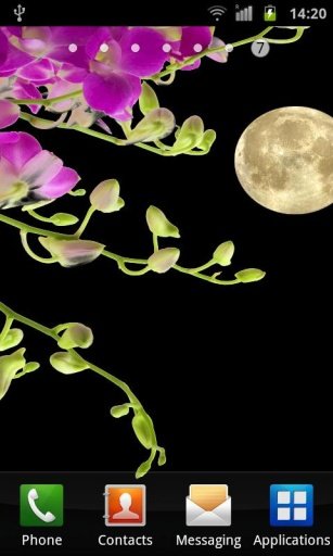 Orchids In Night VII截图3