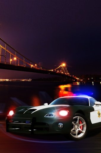 High Speed Police Car Chase截图1