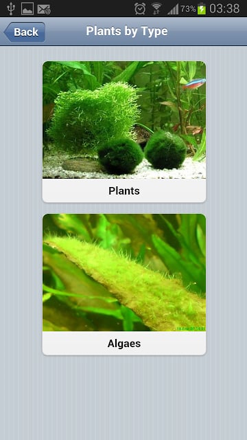 Aquarium Plants Free截图2