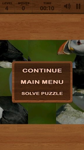 PuzzleBox : Birds截图8