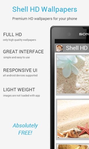 Beautiful Shell HD Wallpapers截图1