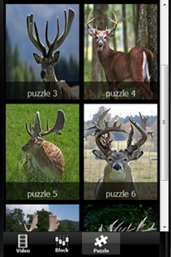 Deer Skill Hunter 2014截图2