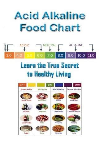 酸性碱性食物图截图3
