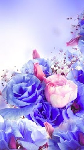 Flower Livewallpaper HD截图10