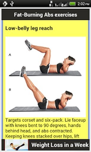 Fat-Burning Abs Exercises截图10