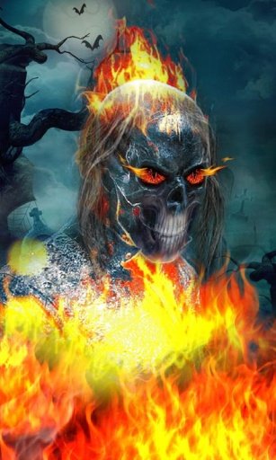 Ghost Rider Skull Fire LWP截图11