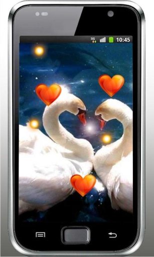 Valentine Birds live wallpaper截图5