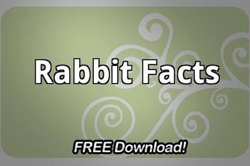 Rabbit Facts截图2