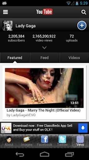 Lady Gaga Complete Fan截图9