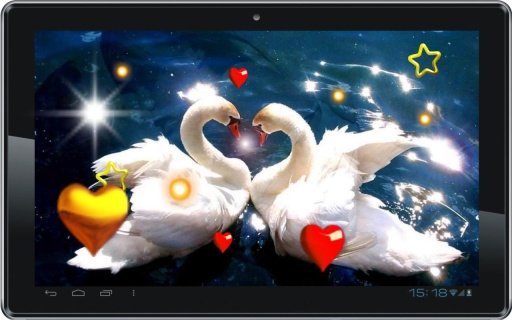 Valentine Birds live wallpaper截图8