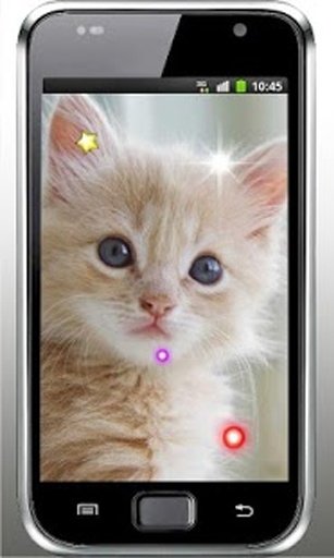 Pussy Kittens live wallpaper截图6