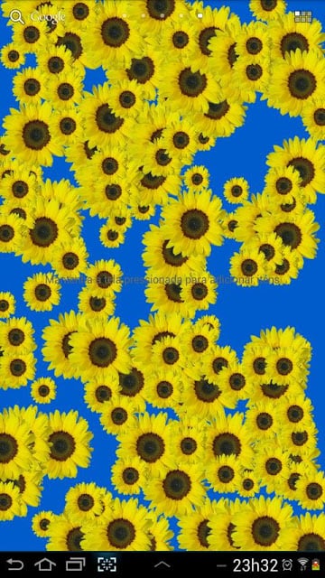 Sunflower Live Wallpaper Free截图1