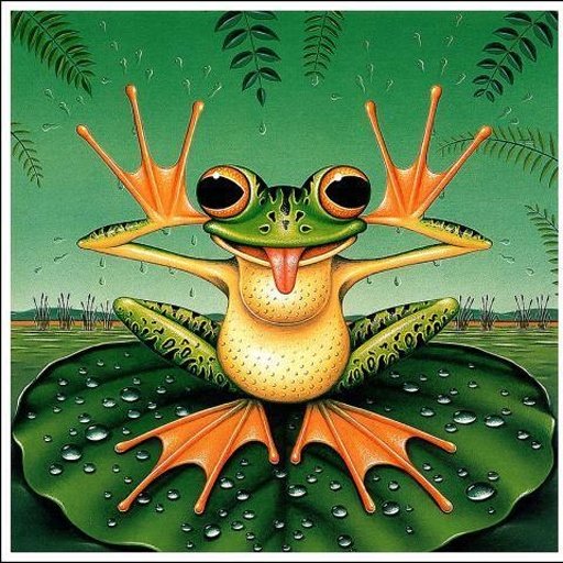 Frogs jigsaw puzzles截图8