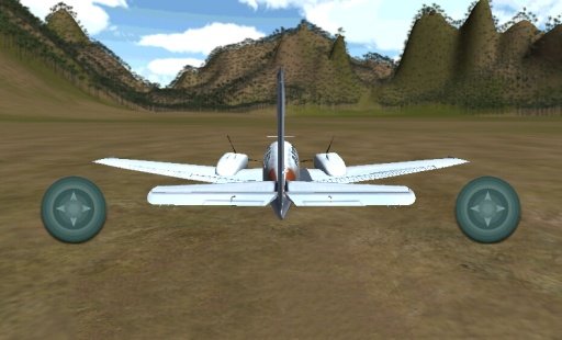 3D Flight Sim截图1