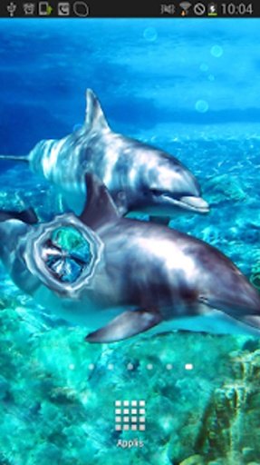 Dolphins with Bubbles LWP截图1