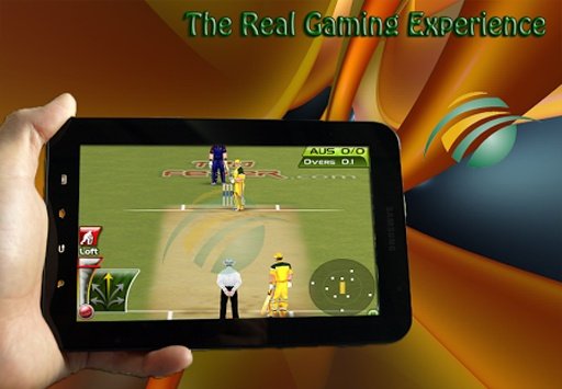 South Africa Cricket Game截图7