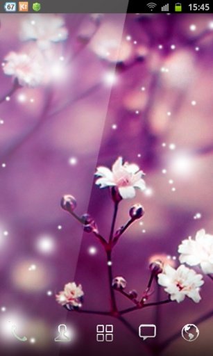 Galaxy S4 Flowers Image截图6