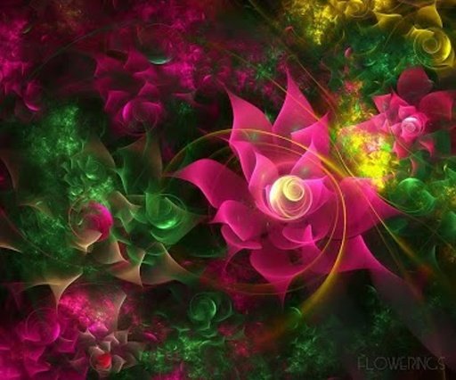 4D Flower Live Wallpaper截图1