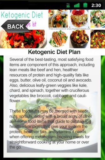 Ketogenic Diet Plan截图2