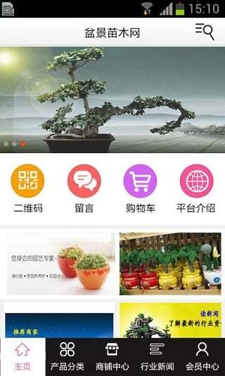 盆景苗木网截图1