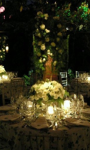 Wedding Ideas Gallery截图3