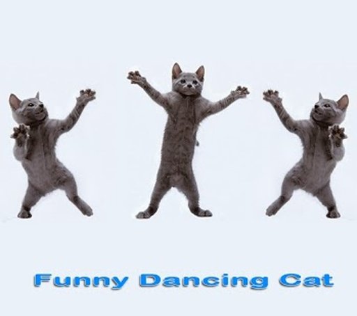 Dancing Cat截图6