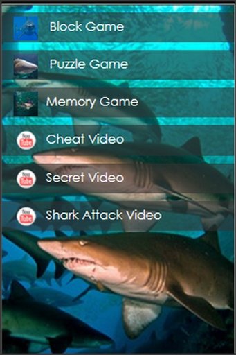 Shark Hungry截图1