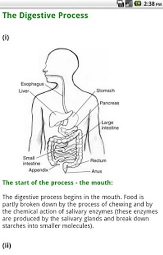 Human Digestive System截图5