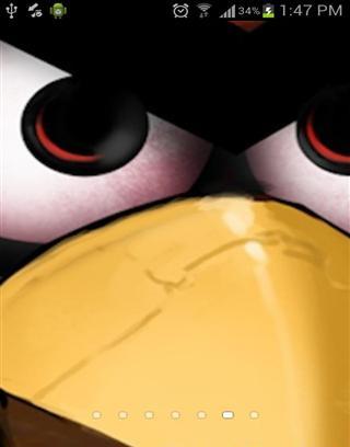 Angry Birds HD WallPapers截图3