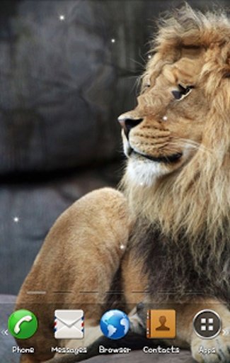 Lion3 Live Wallpaper截图1