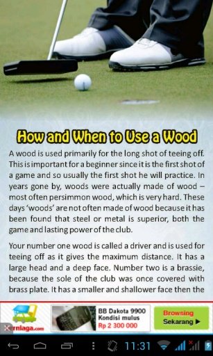 Beginner Guide To Playing Golf截图1