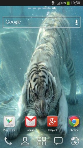 White Tiger Live Wallpaper Tap截图5