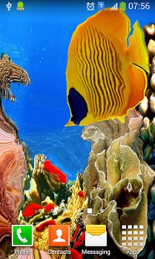 Coral Reef Aquarium HD LWP截图2