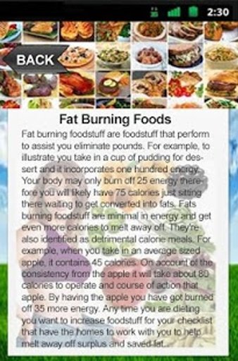 Fat Burning Foods App截图4