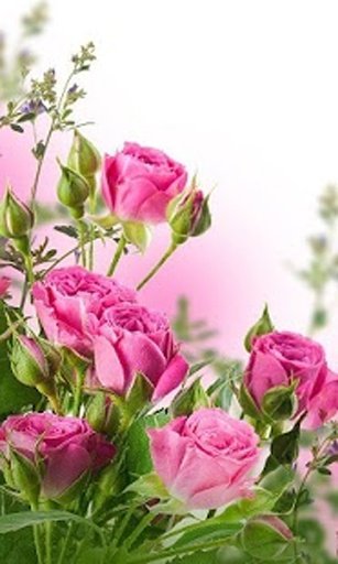 Flower Livewallpaper HD截图1