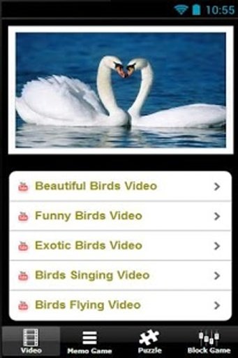 Beautiful Birds Game截图2