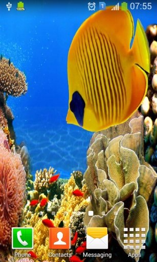 Coral Reef Aquarium HD LWP截图4