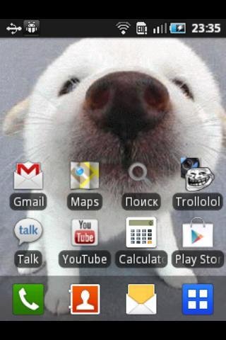 Sniffing dog live wallpaper截图1