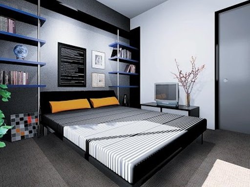 Dream Home Design截图3