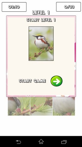 Cute Birds Puzzle Game截图4