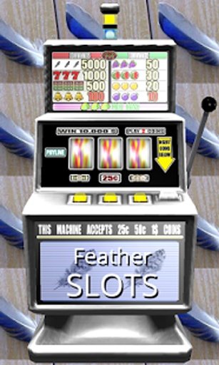 3D Feather Slots - Free截图2